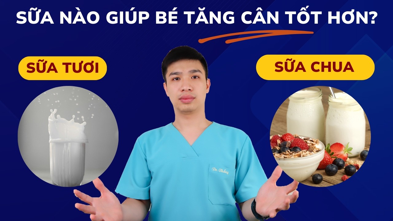 Tại sao sữa chua giúp trẻ tăng cân nhanh sữa tươi?